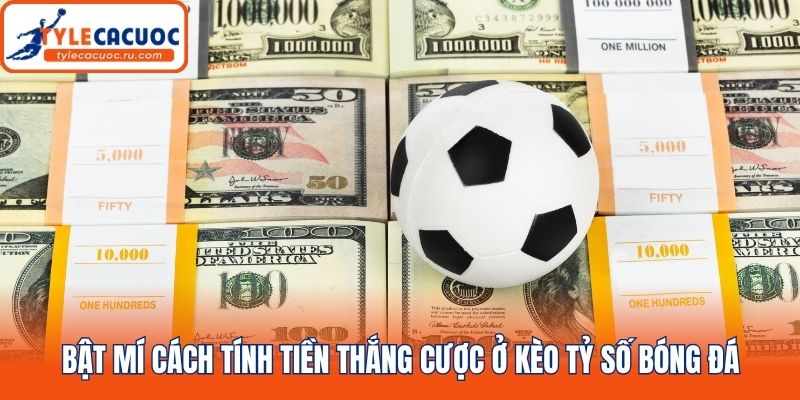 Bật mí cách tính tiền thắng cược ở kèo tỷ số bóng đá