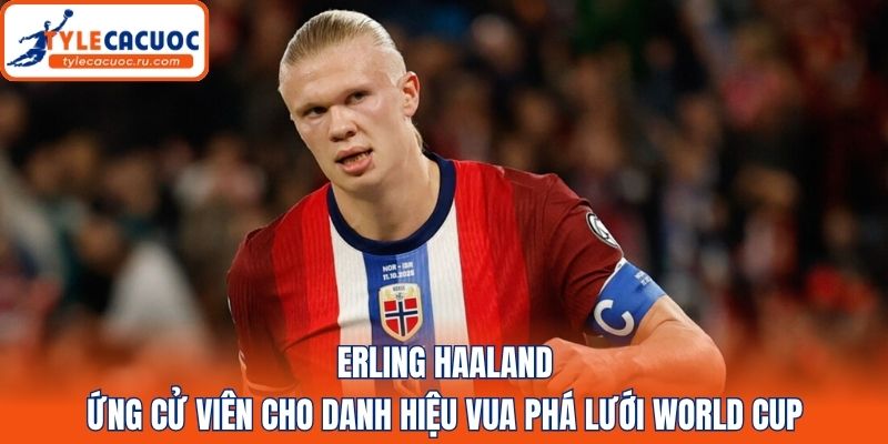 Erling Haaland - Ứng cử viên cho danh hiệu Vua phá lưới World Cup