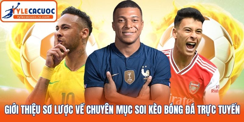 Giới thiệu sơ lược về chuyên mục soi kèo bóng đá trực tuyến