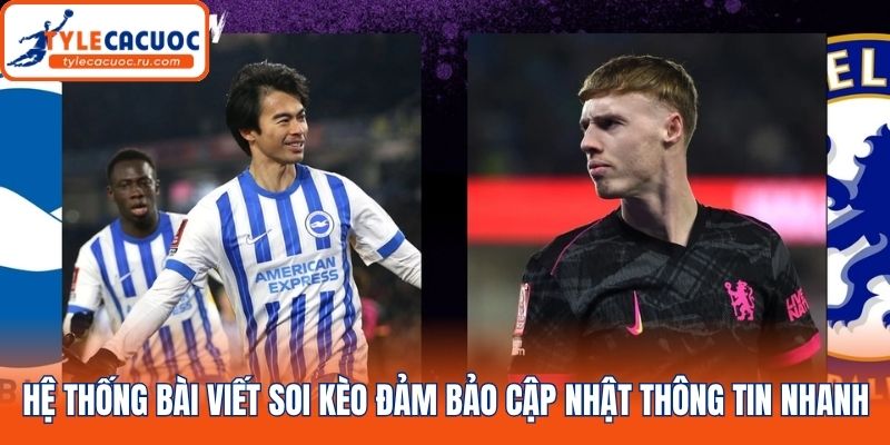 Hệ thống bài viết soi kèo đảm bảo cập nhật thông tin nhanh