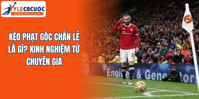 Kèo Phạt Góc Chẵn Lẻ Là Gì? Kinh Nghiệm Từ Chuyên Gia