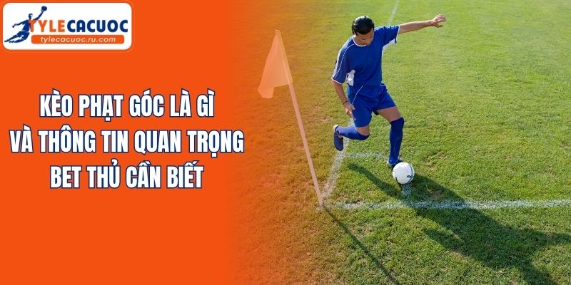 Kèo Phạt Góc Là Gì Và Thông Tin Quan Trọng Bet Thủ Cần Biết