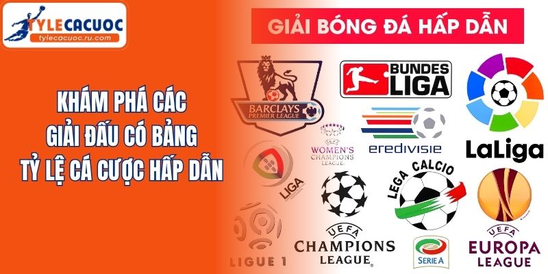 Khám phá các giải đấu có bảng tỷ lệ cá cược hấp dẫn