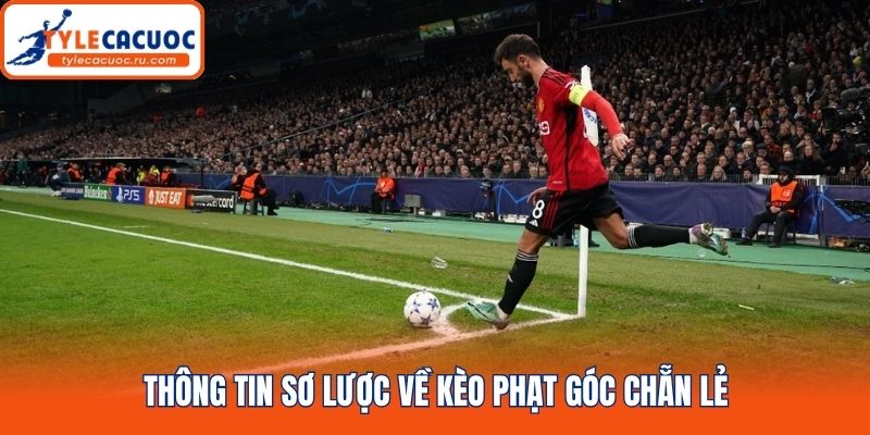 Thông tin sơ lược về kèo phạt góc chẵn lẻ