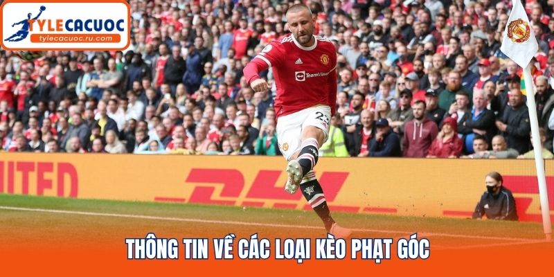 Thông tin về các loại kèo phạt góc