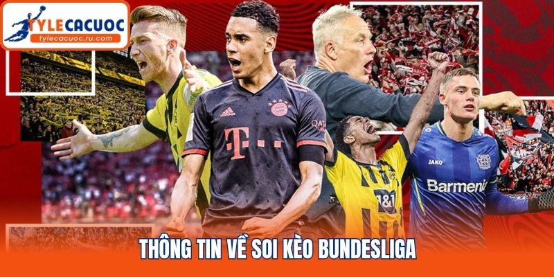 Thông tin về soi kèo Bundesliga